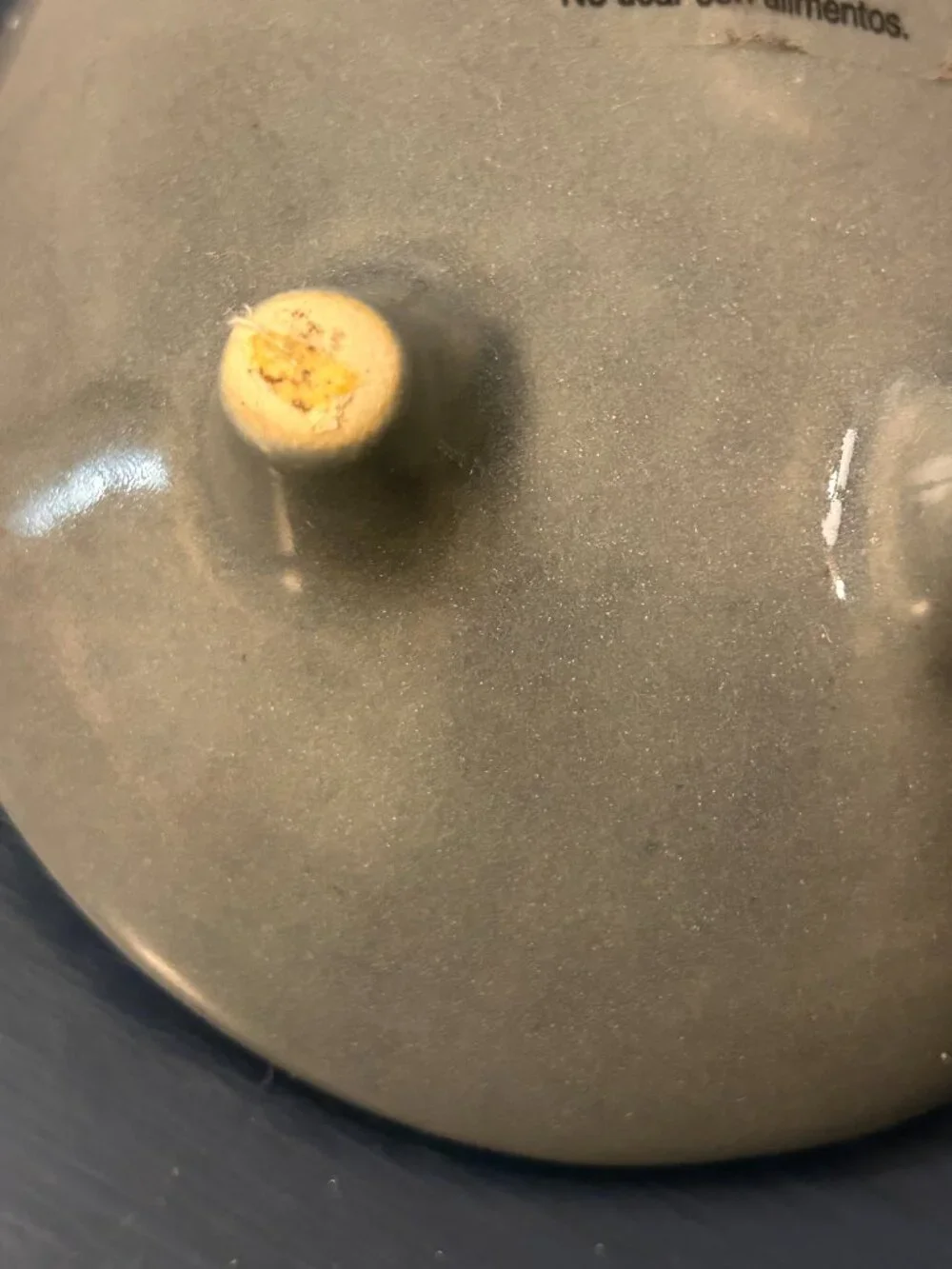 West Elm Ceramic Hedgehog Succulent Trinket Dish